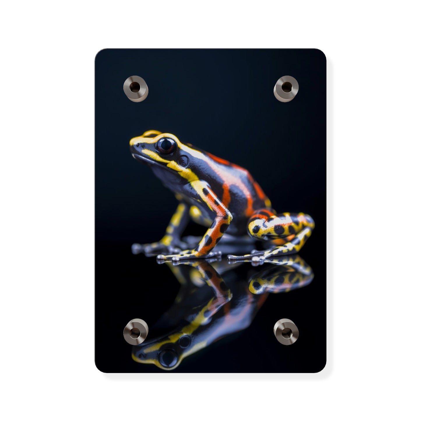 Modern Toad Acrylic Wall Art Panels Home Decor