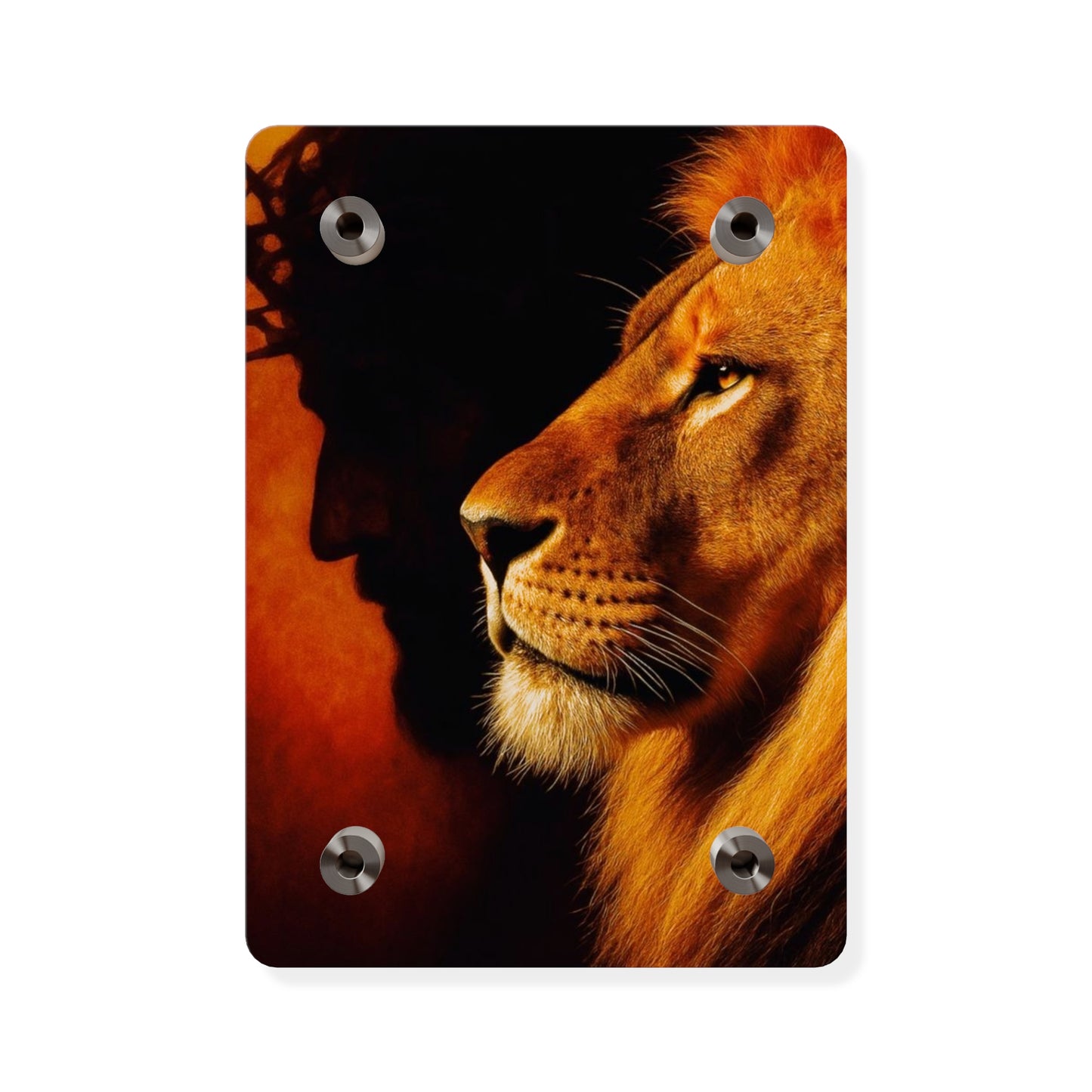 Jesus King Christian Acrylic Wall Art Panels Home Decor