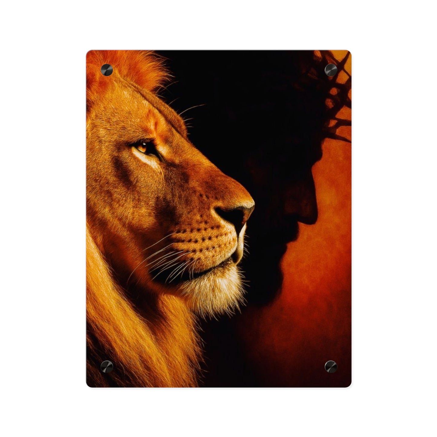 Jesus King Christian Acrylic Wall Art Panels Home Decor