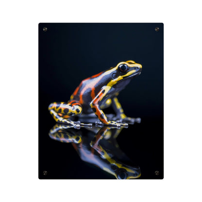 Modern Toad Acrylic Wall Art Panels Home Decor