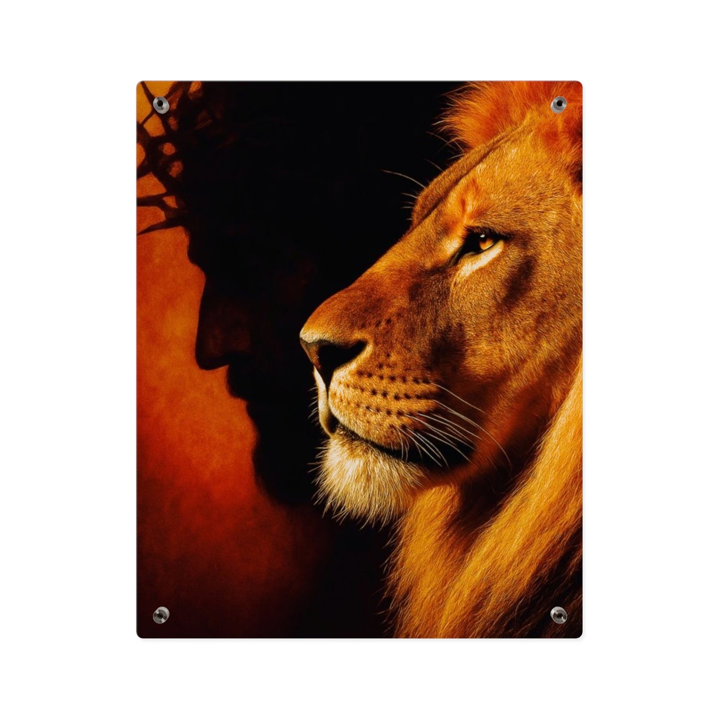 Jesus King Christian Acrylic Wall Art Panels Home Decor