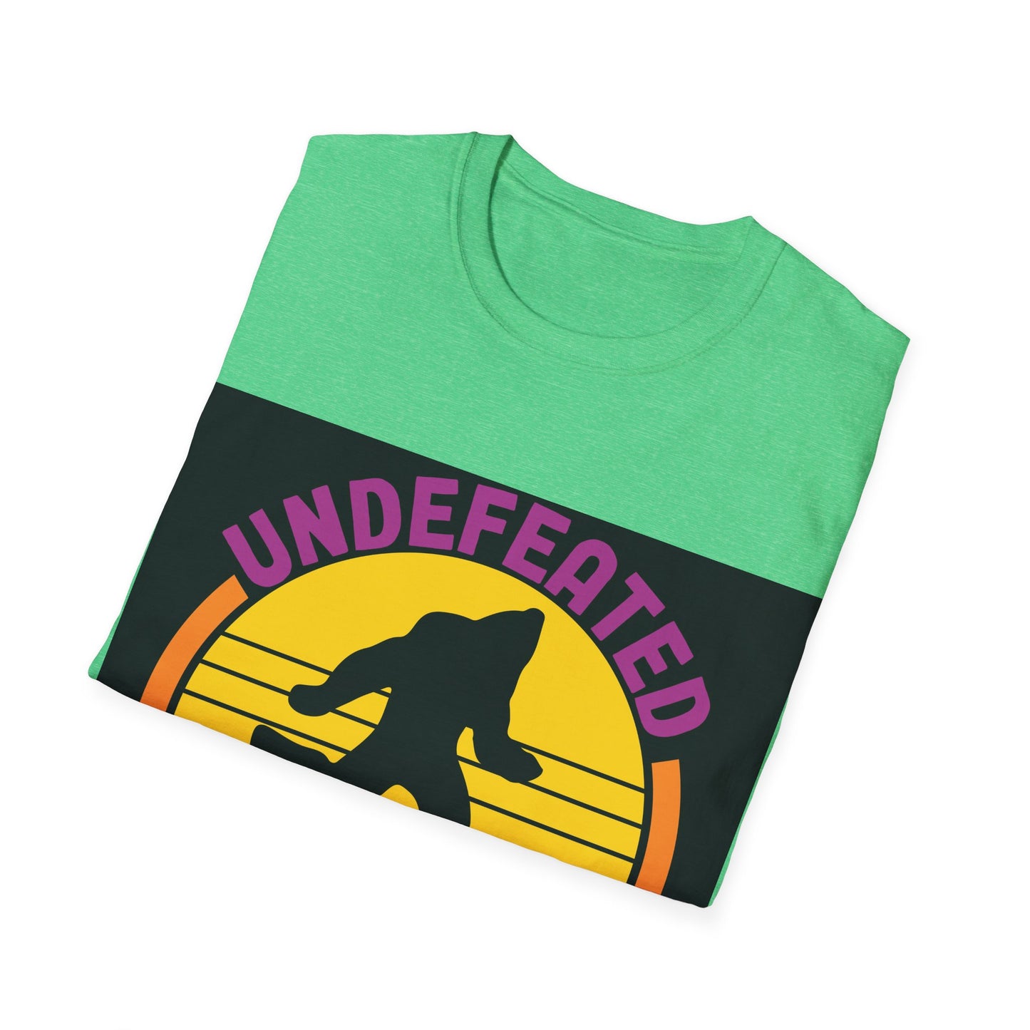 Seek and Hide Champion  T-Shirt